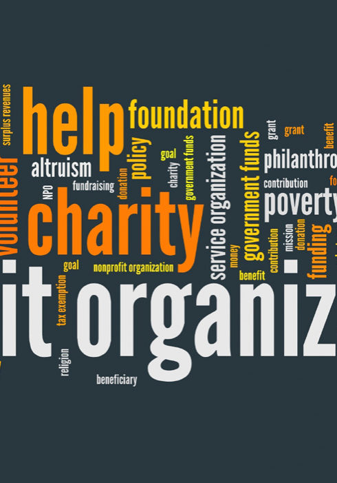 Nonprofit organizations issues and concepts word cloud illustration. Word collage concept.